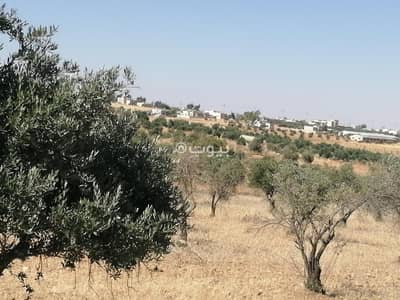 Chalet for Sale in Rihab, Mafraq - Residential Lands For Sale in Rihab, Mafraq