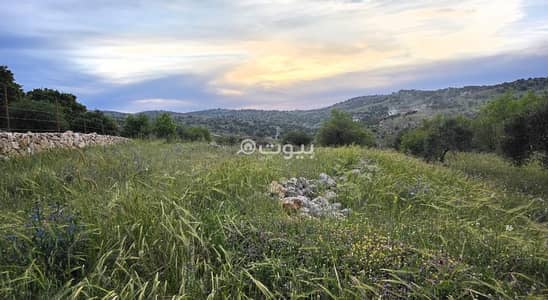 Residential Land for Sale in Sakhrah, Ajloun - Residential Lands For Sale in Sakhrah, Ajloun Residential Land for Sale in Sakhrah, Ajloun - Residential Lands For Sale in Sakhrah, Ajloun