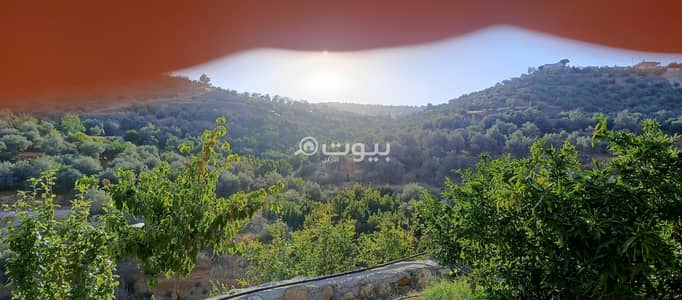 Residential Land for Sale in Al Kitta, Jerash - 0 Bedrooms Residential Lands For Sale Al Kitta Jerash