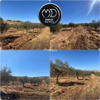 Residential Land for Sale in Souf, Jerash - Residential Lands For Sale in Souf, Jerash