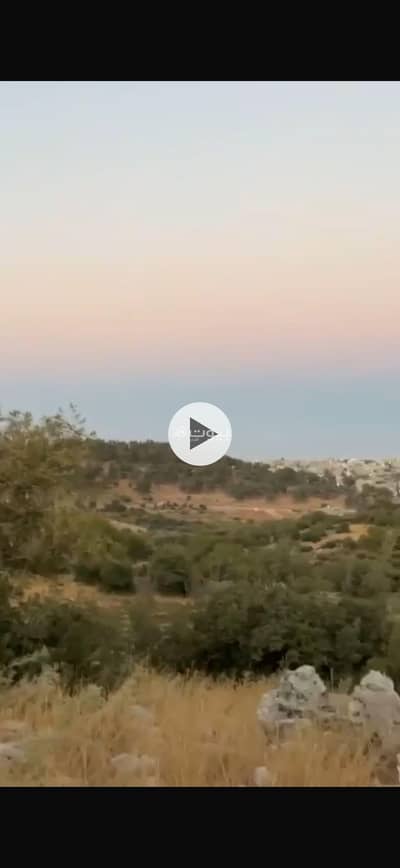 Residential Land for Sale in Sakhrah, Ajloun - 1 Bedroom Residential Lands For Sale in Sakhrah, Ajloun Residential Land for Sale in Sakhrah, Ajloun - 1 Bedroom Residential Lands For Sale in Sakhrah, Ajloun