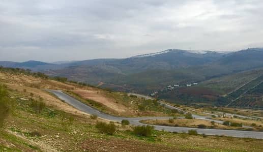 Residential Land for Sale in Amman - Photo