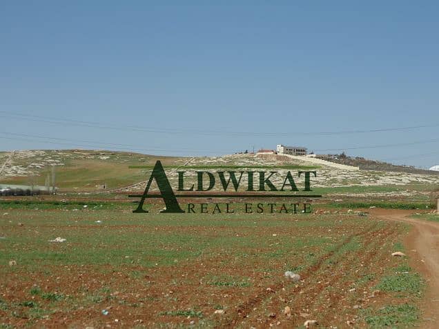 Photo Photo