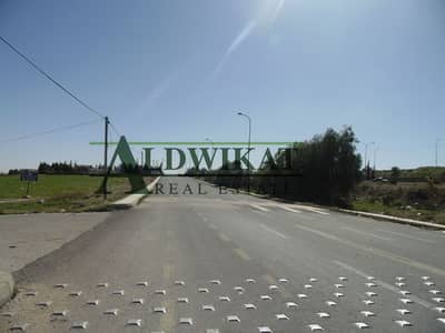 Photo Photo