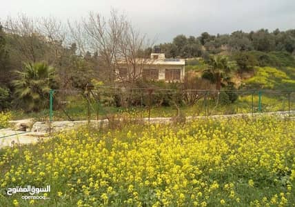 Farm for Sale in Jerash - Photo