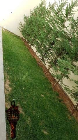 7 Photo