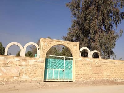 للبيع مزرعة مميزة جدا في الزرقاء - منطقة الهاشمية للبيع مزرعة مميزة جدا في الزرقاء - منطقة الهاشمية
