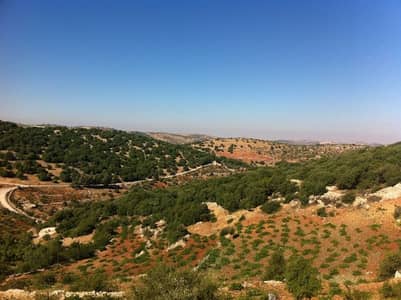 Commercial Land for Sale in Jerash - Photo