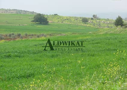Residential Land for Sale in Al Huwaiti, Amman - Photo