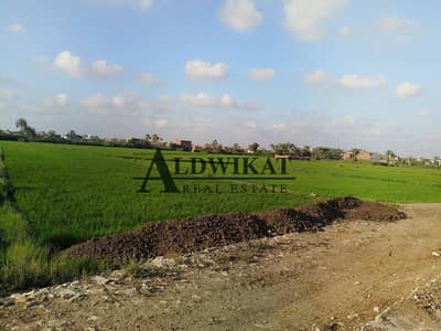 Residential Land for Sale in Al Tuneib, Amman - Photo
