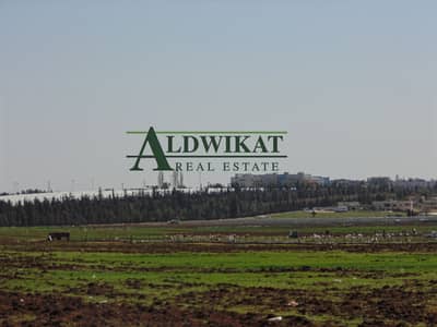 Residential Land for Sale in Al Thahir, Amman - Photo