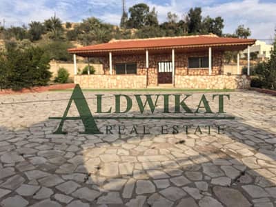 Residential Land for Sale in Gawr Al Safi, Karak - Photo