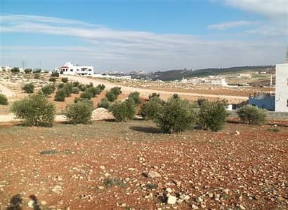 Residential Land for Sale in Fuheis, Al Salt - Photo