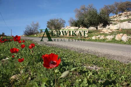 Residential Land for Sale in Jerash - Photo