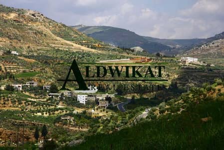 Residential Land for Sale in Dabouq, Amman - Photo