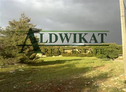 Residential Land for Sale in Dabouq, Amman - Photo