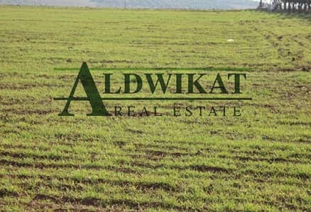 Residential Land for Sale in Dabouq, Amman - Photo