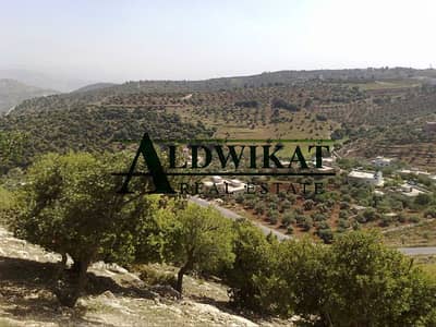 Residential Land for Sale in Dabouq, Amman - Photo