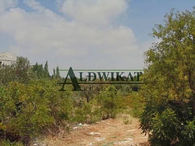 Residential Land for Sale in Dabouq, Amman - Photo