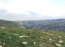 Residential Land for Sale in Dabouq, Amman - Photo