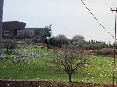 Residential Land for Sale in Dabouq, Amman - Photo