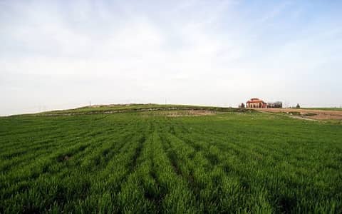 Residential Land for Sale in Dabouq, Amman - Photo