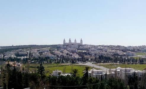 Residential Land for Sale in Dabouq, Amman - Photo