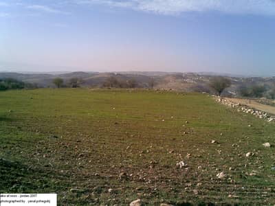 Residential Land for Sale in Dabouq, Amman - Photo