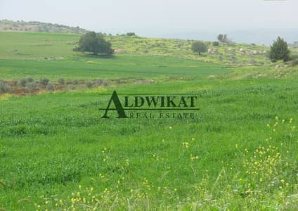 Residential Land for Sale in Dabouq, Amman - Photo