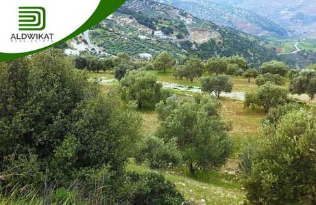 Residential Land for Sale in Dabouq, Amman - Photo