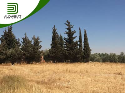 Residential Land for Sale in Dabouq, Amman - Photo