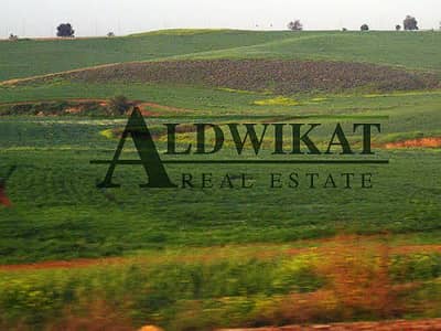 Residential Land for Sale in Dabouq, Amman - Photo