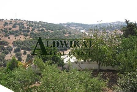 Residential Land for Sale in Dabouq, Amman - Photo