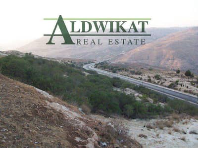 Residential Land for Sale in Shafa Badran, Amman - Photo