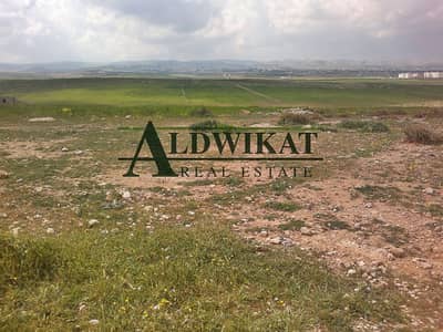 Residential Land for Sale in Shafa Badran, Amman - Photo