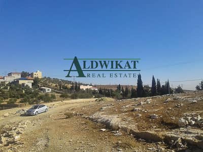 Residential Land for Sale in Shafa Badran, Amman - Photo