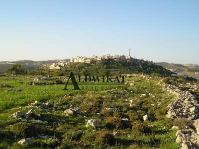 Residential Land for Sale in Safut, Al Salt - Photo