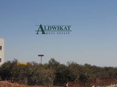 Residential Land for Sale in Airport Road, Amman - Photo