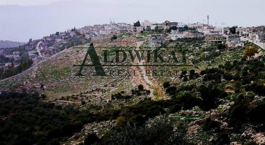 Residential Land for Sale in Airport Road, Amman - Photo