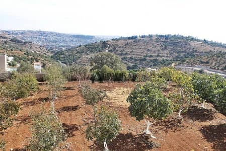 Residential Land for Sale in Airport Road, Amman - Photo