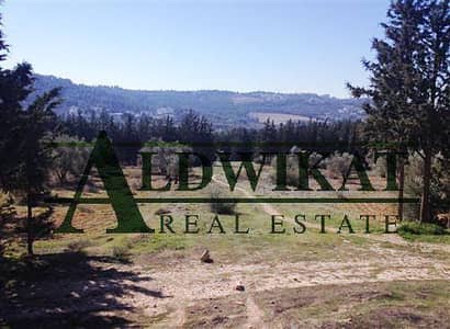 Residential Land for Sale in Airport Road, Amman - Photo