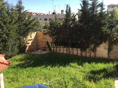 7 Bedroom Villa for Sale in Airport Road, Amman - Photo