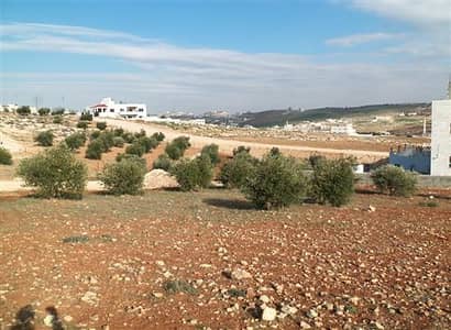 Residential Land for Sale in Airport Road, Amman - Photo