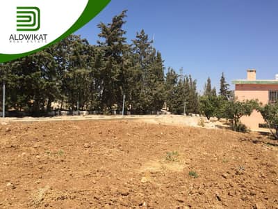 Residential Land for Sale in Airport Road, Amman - Photo