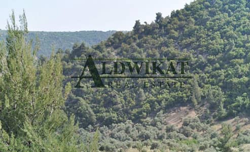 Residential Land for Sale in Airport Road, Amman - Photo