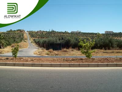 Residential Land for Sale in Naour, Amman - Photo