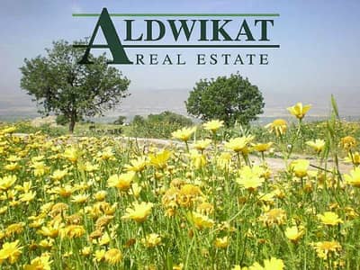 Residential Land for Sale in Naour, Amman - Photo