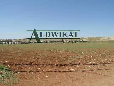 Residential Land for Sale in Naour, Amman - Photo