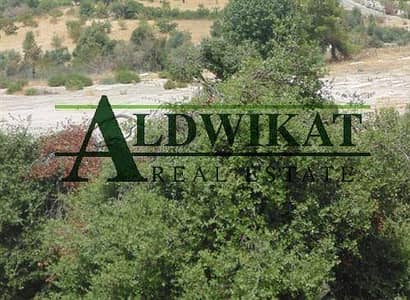 Residential Land for Sale in Naour, Amman - Photo