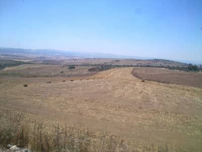 Residential Land for Sale in Naour, Amman - Photo